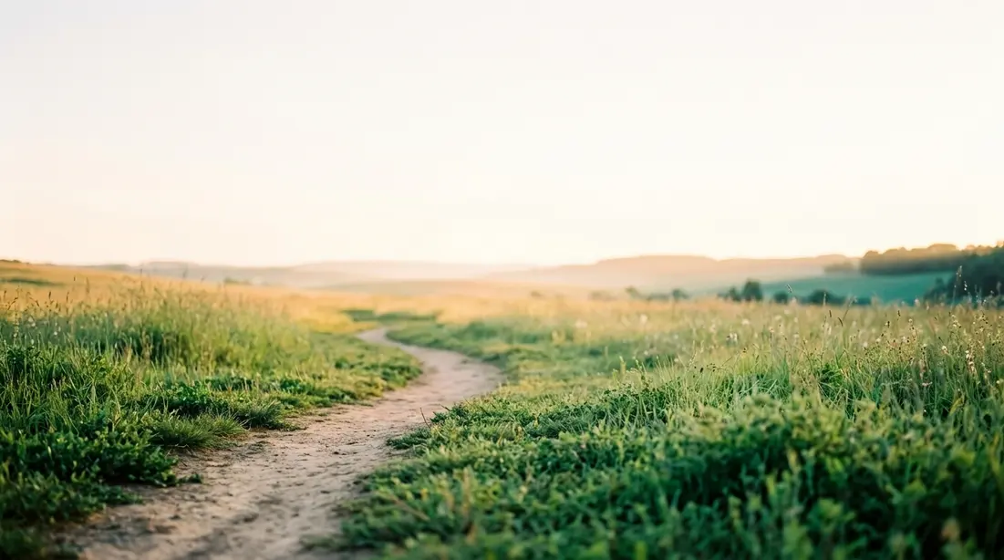 A soft dirt path winding forward through a sunlit green meadow toward a bright, warm horizon.