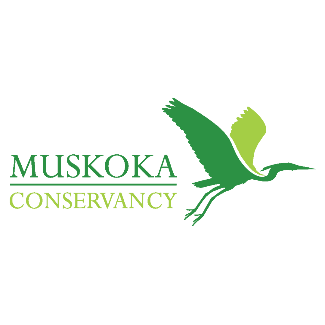 Muskoka Conservancy logo